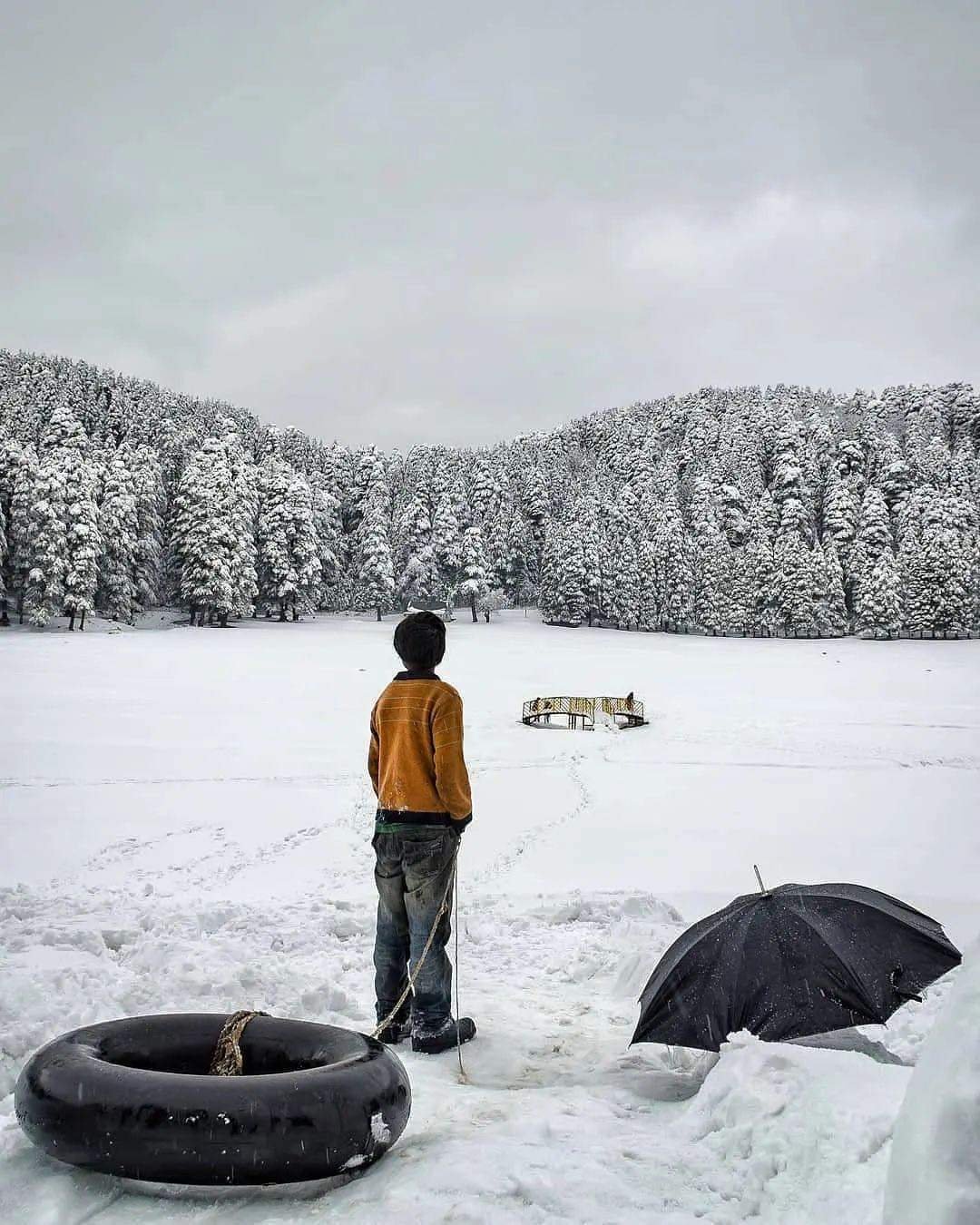 Himachal View